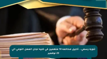 تنويه رسمي.. تأجيل محاكمة 10 متهمين في خلية لجان العمل النوعي إلى 23 نوفمبر